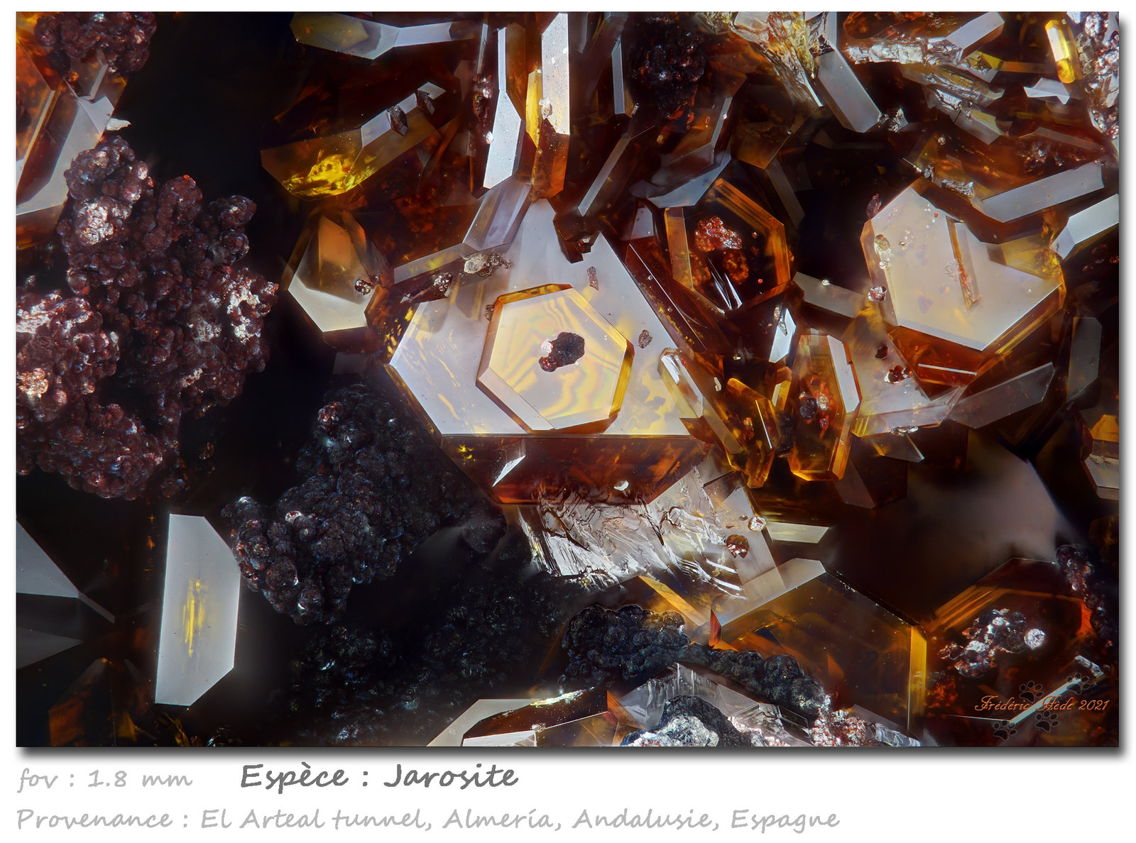 Jarosite
fov 1.8 mm
(Autor: ploum)