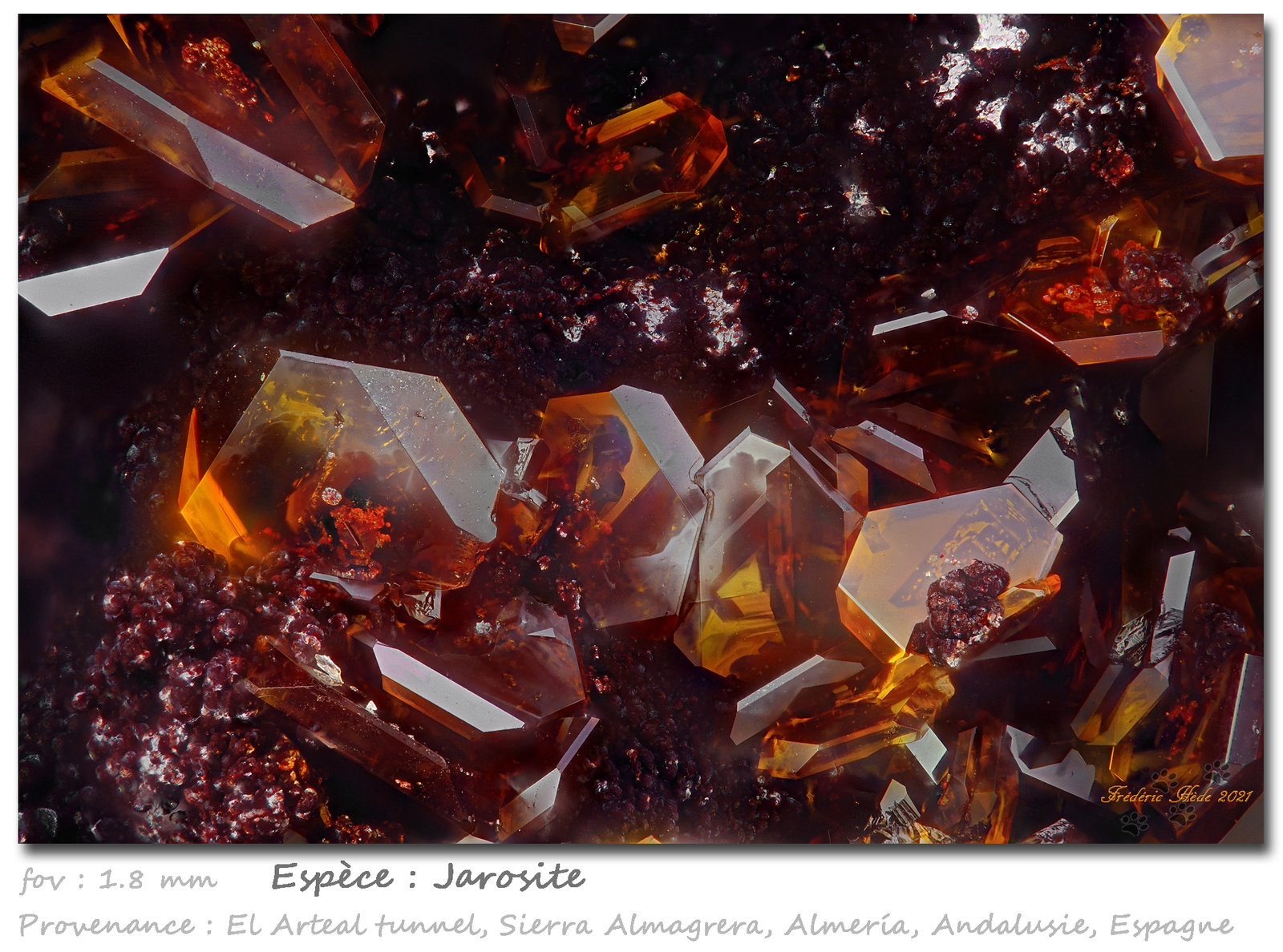 Jarosite
fov 1.8 mm
(Autor: ploum)