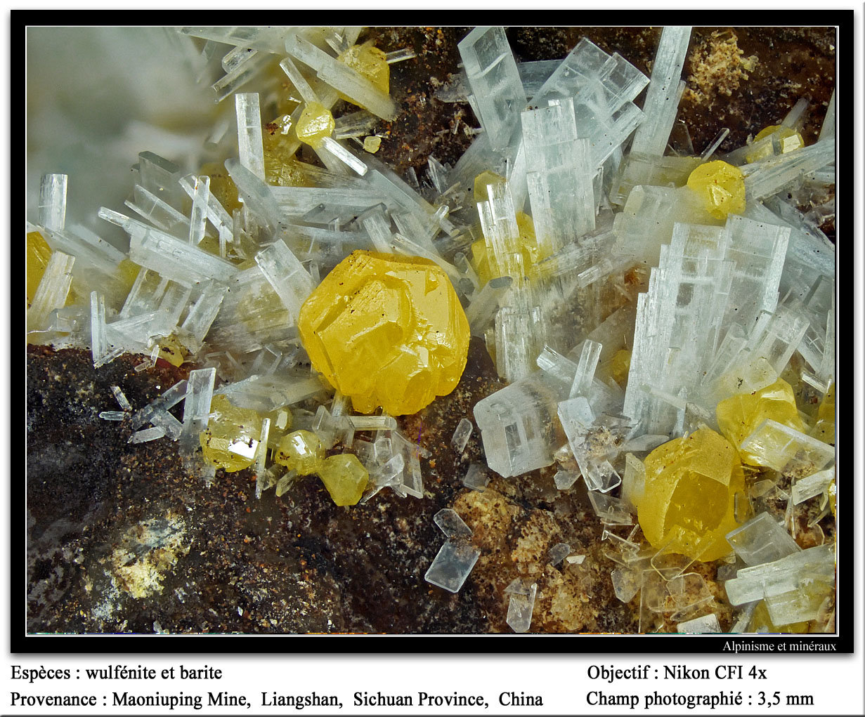 Wulfenite
fov 3.5 mm
(Autor: ploum)