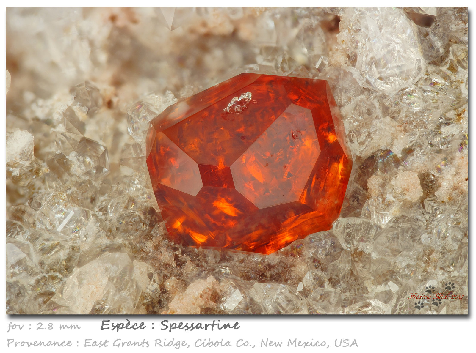 Garnet (variety spessartine)
fov 3 mm
(Autor: ploum)