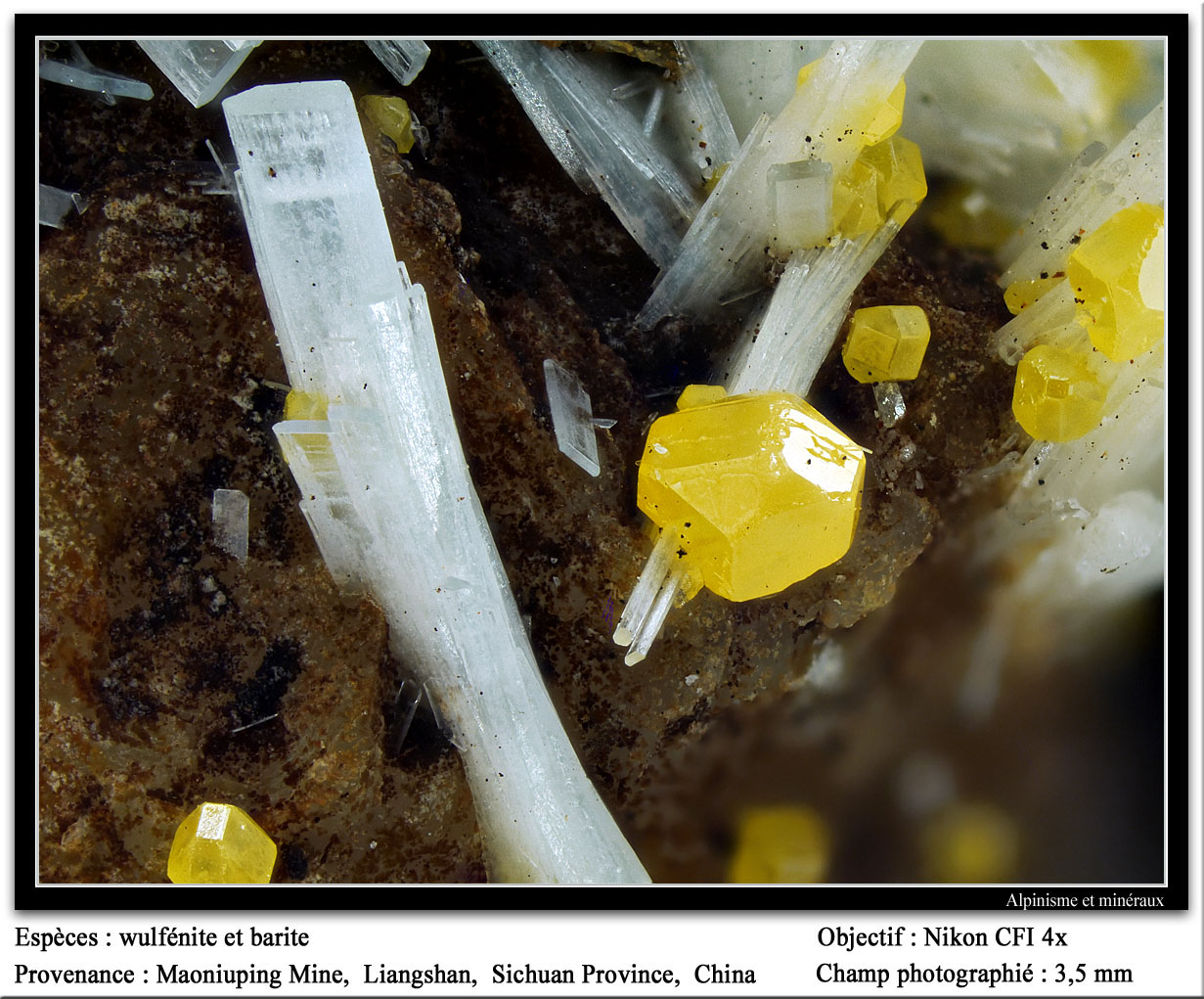 Wulfenite
fov 3.5 mm
(Autor: ploum)