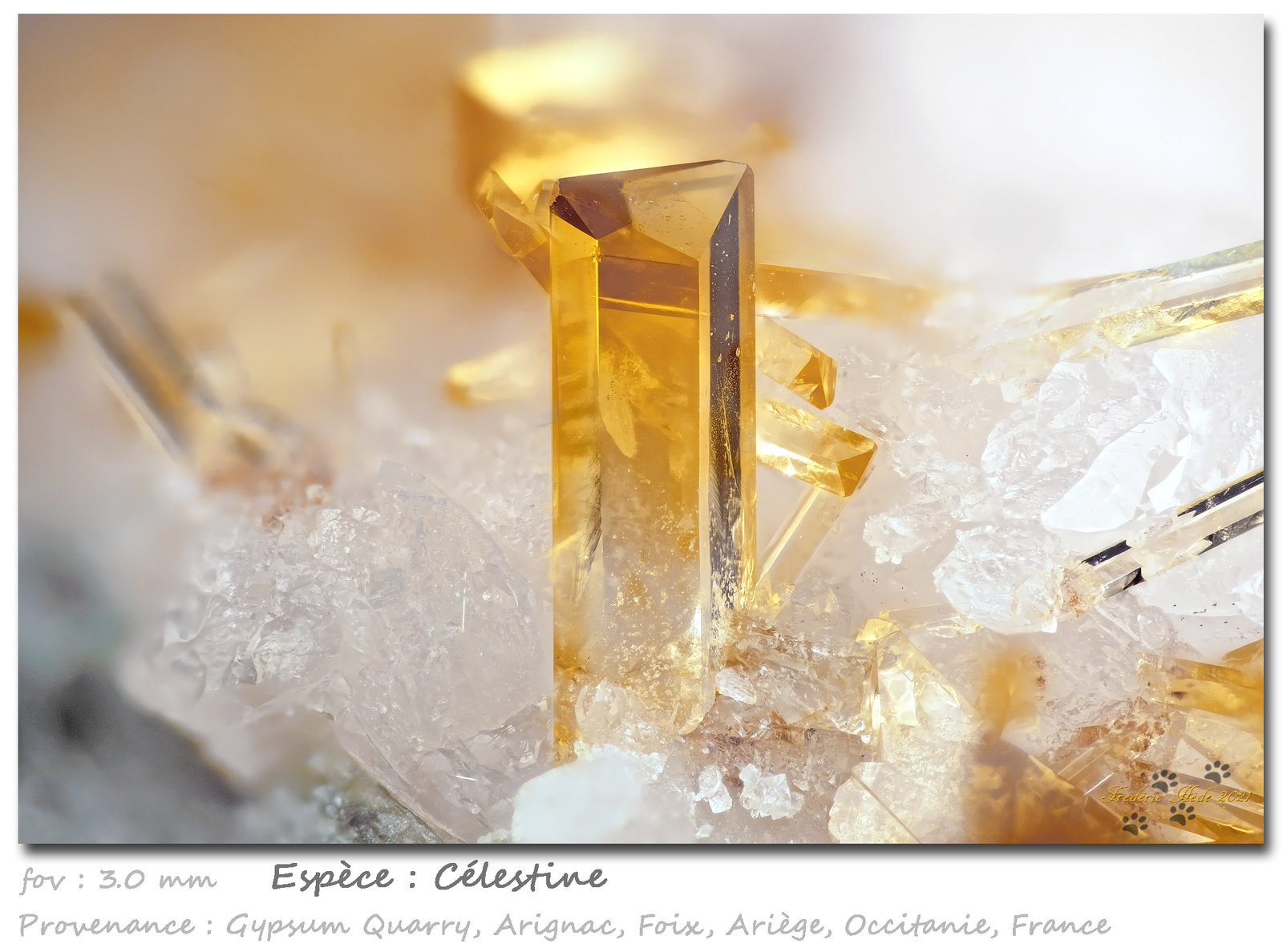 Celestine
fov 3.0 mm
(Autor: ploum)