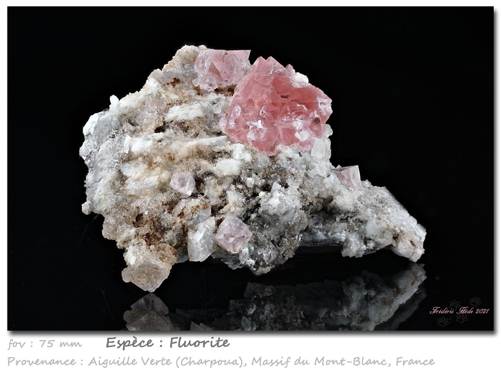 Fluorite
fov 75 mm
(Autor: ploum)