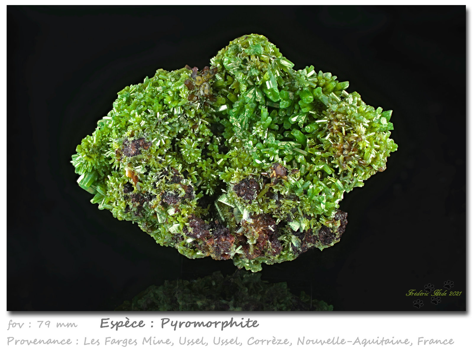 Pyromorphite
fov 79 mm
(Autor: ploum)