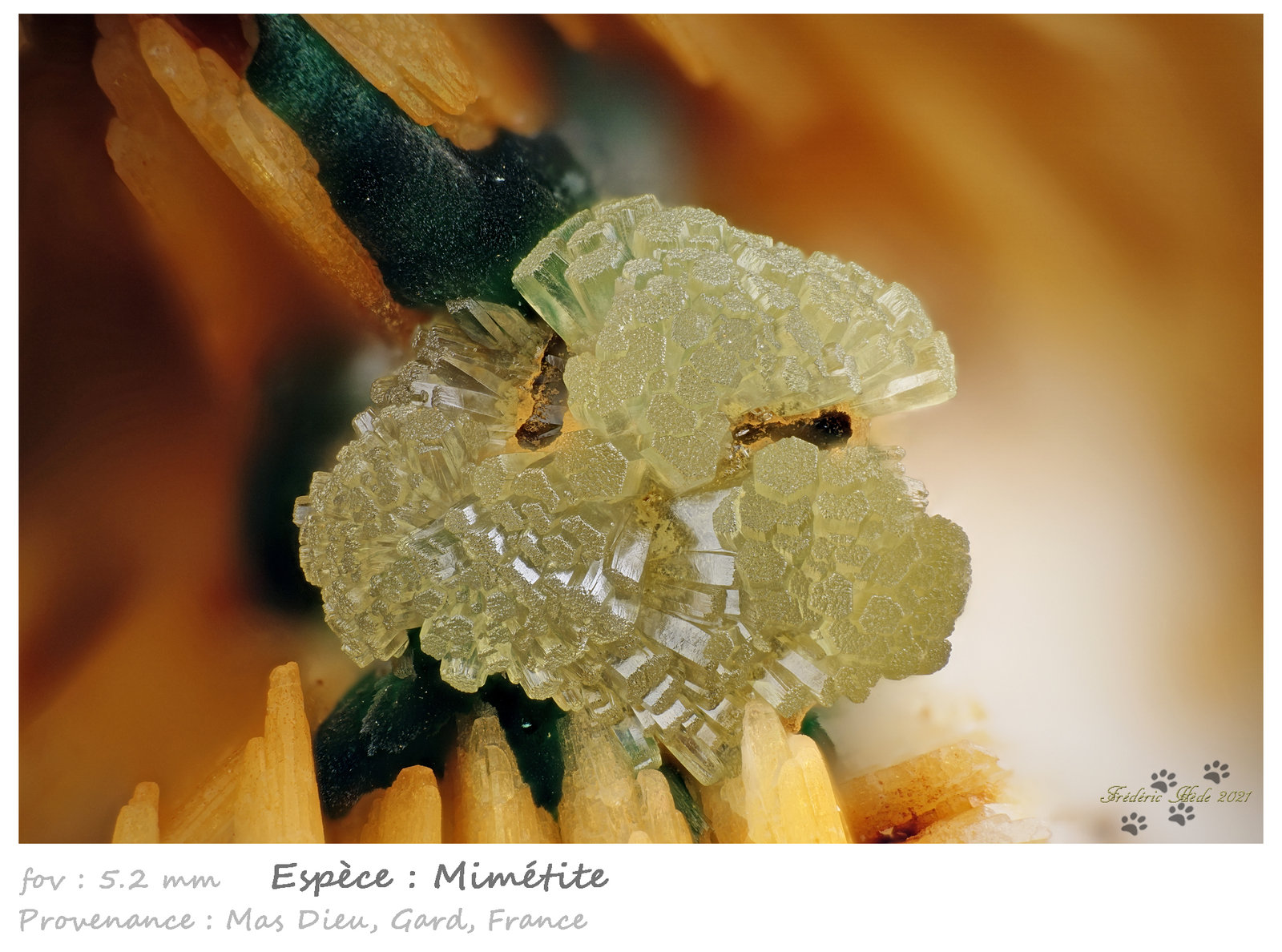 Mimetite
fov 5.2 mm
(Autor: ploum)