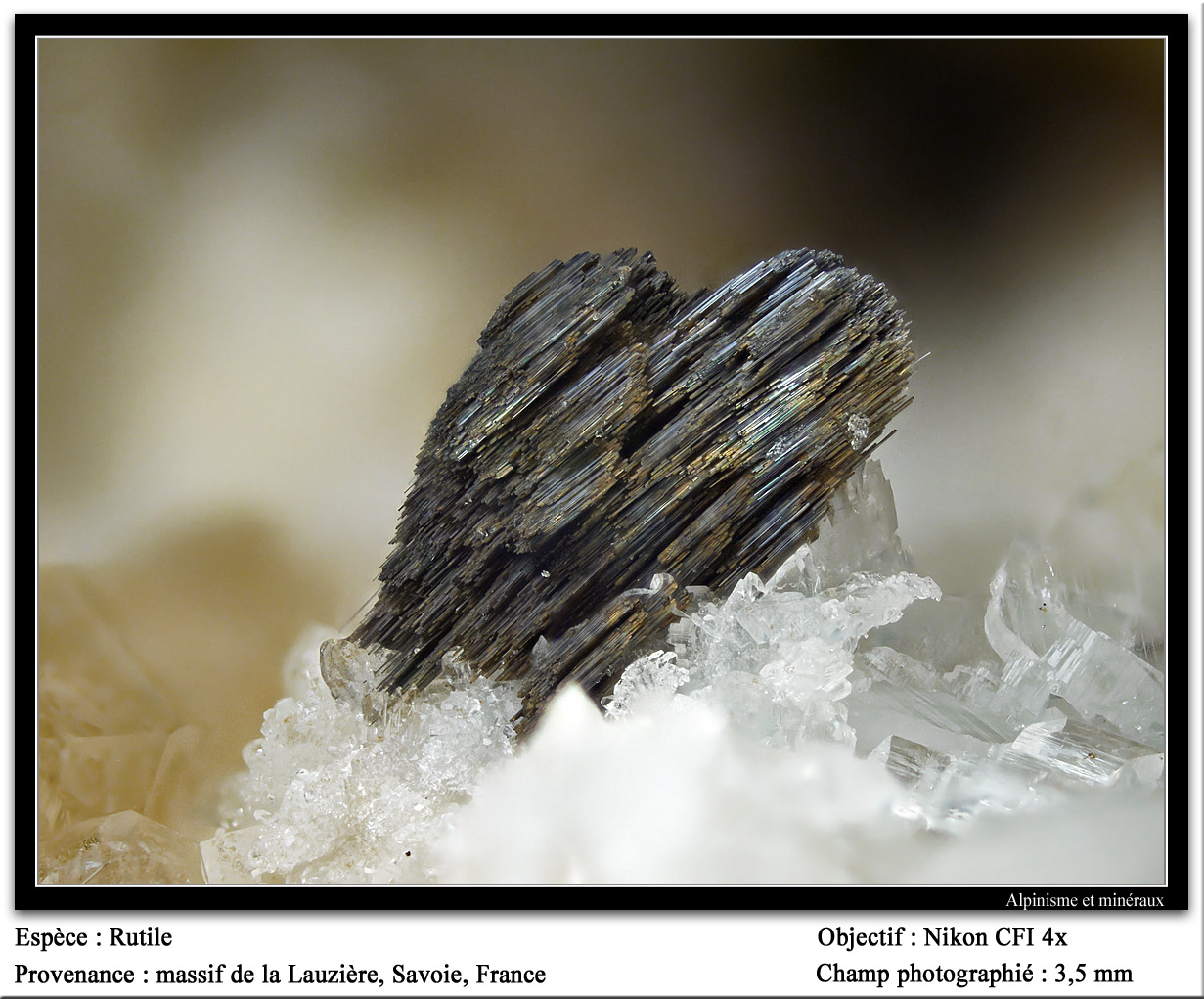 Rutile
fov 3.5 mm
(Autor: ploum)