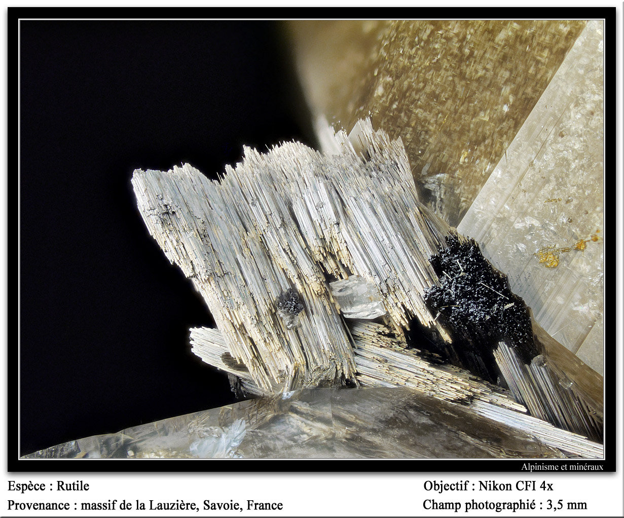 Rutile
fov 3.5 mm
(Autor: ploum)