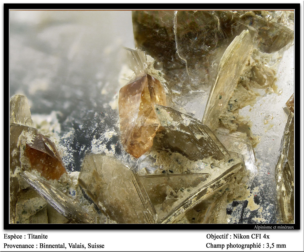 Titanite
fov 3.5 mm
(Autor: ploum)