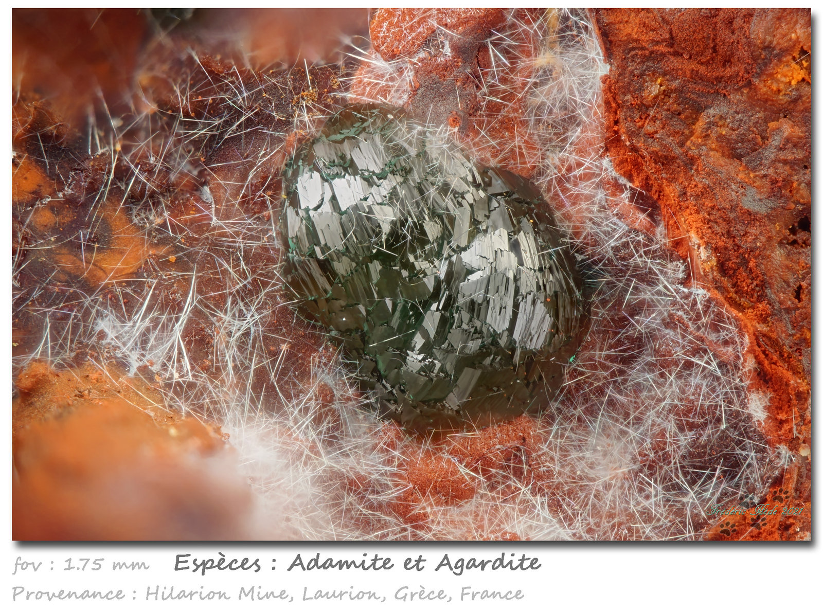 Adamite
fov 1.75 mm
(Autor: ploum)
