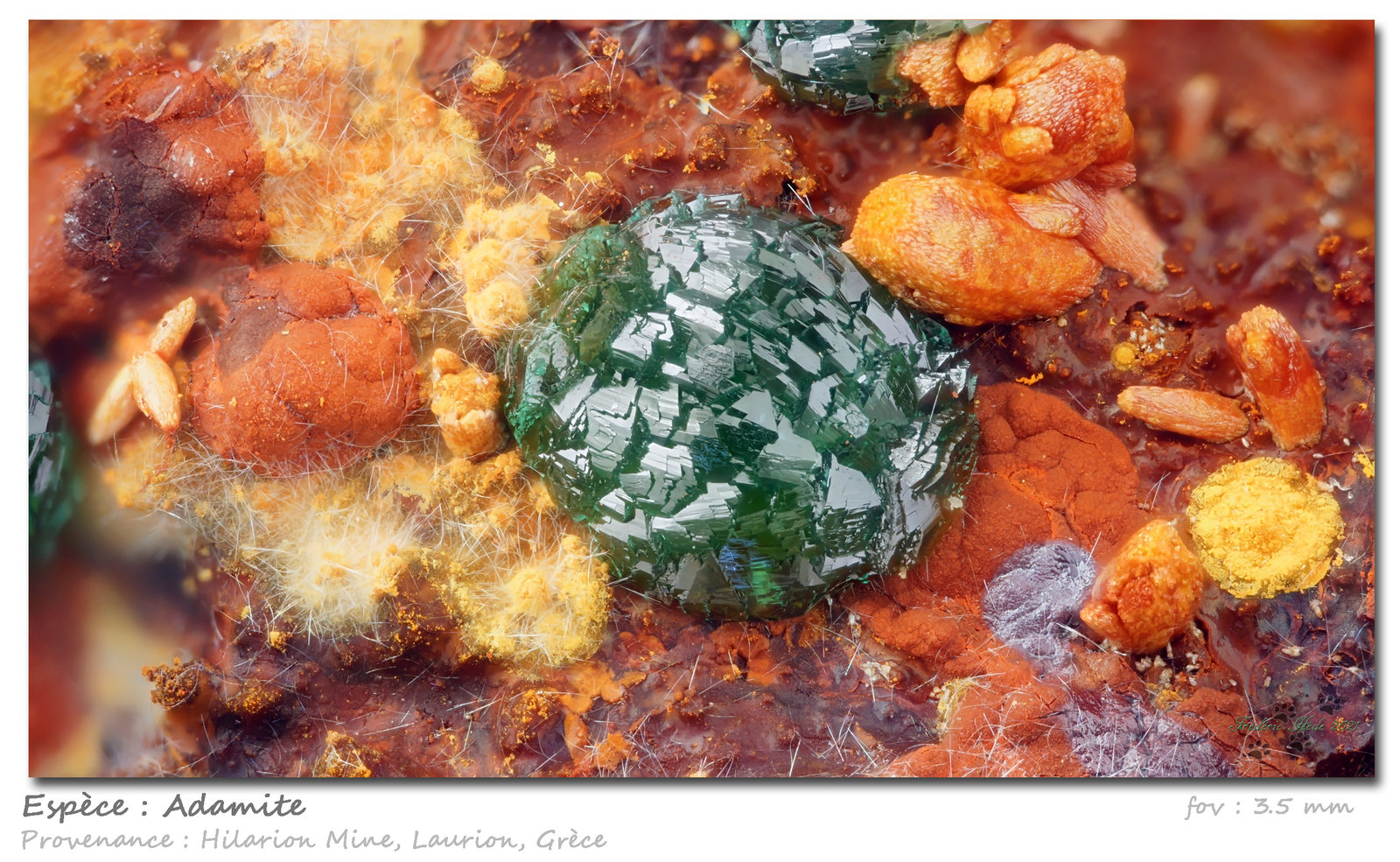 Adamite
fov 3.5 mm
(Autor: ploum)