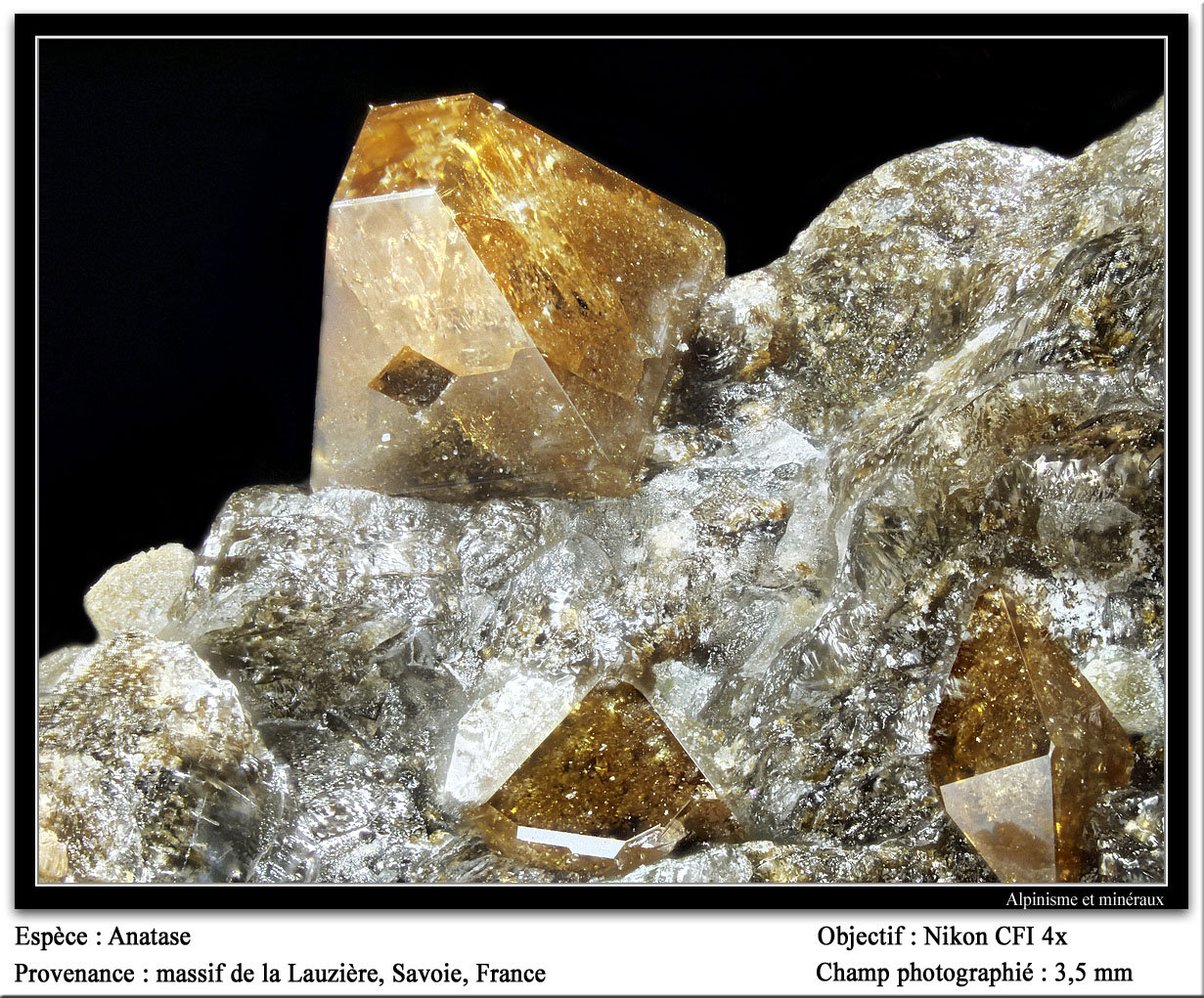 Anatase
fov 3.5 mm
(Autor: ploum)