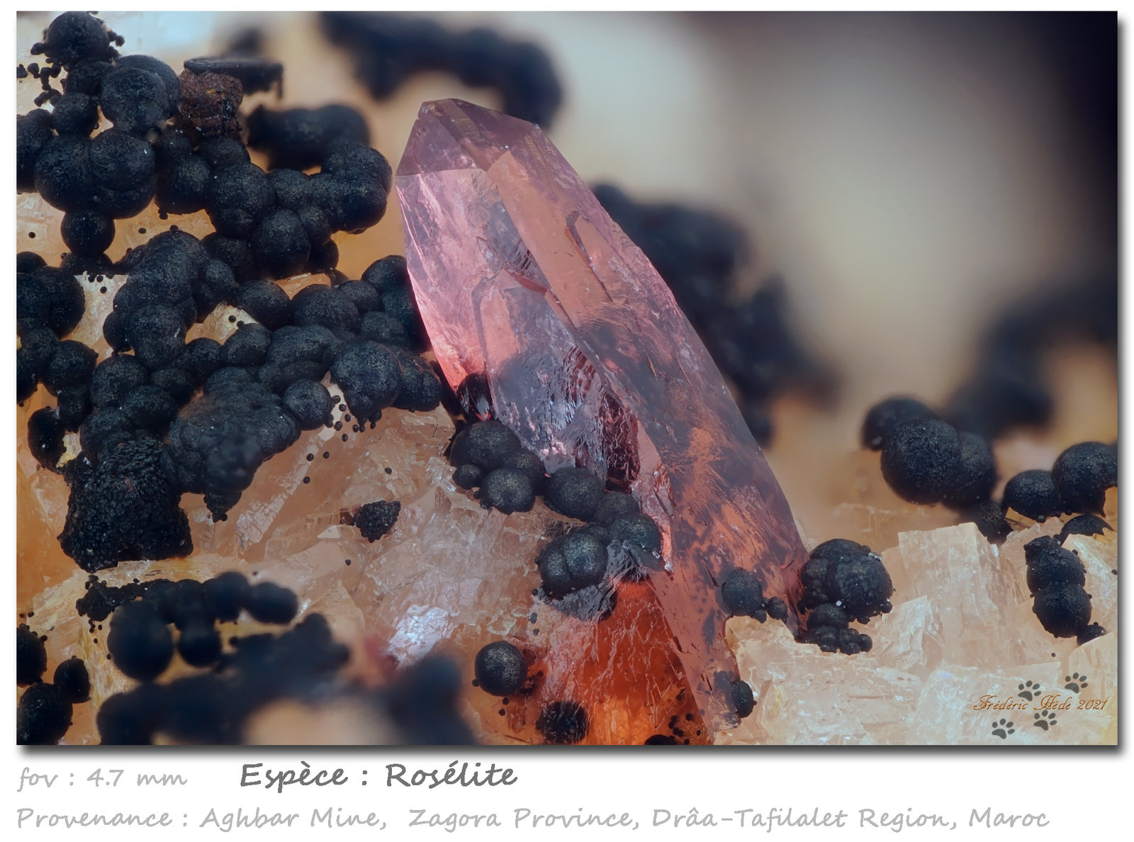 Roselite
fov 4.7 mm
(Autor: ploum)