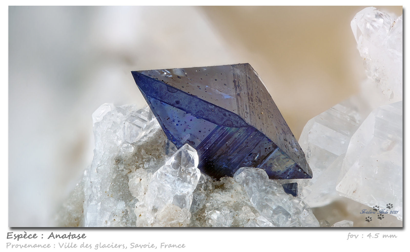 Anatase
fov 4.5 mm
(Autor: ploum)