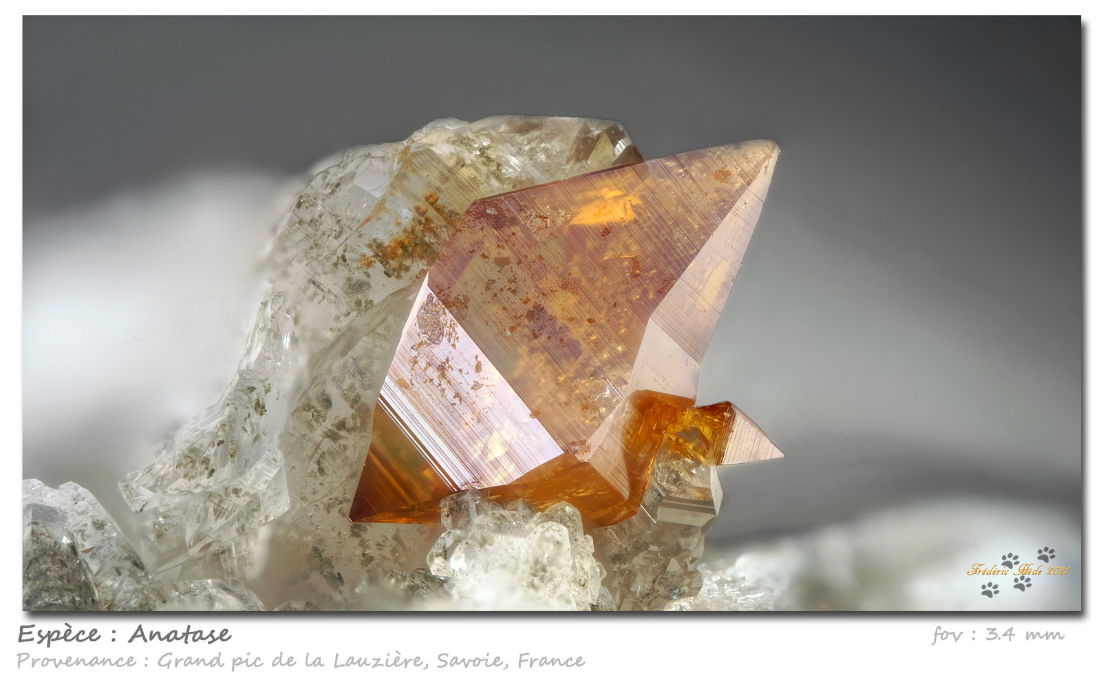 Anatase
fov 3.4 mm
(Autor: ploum)