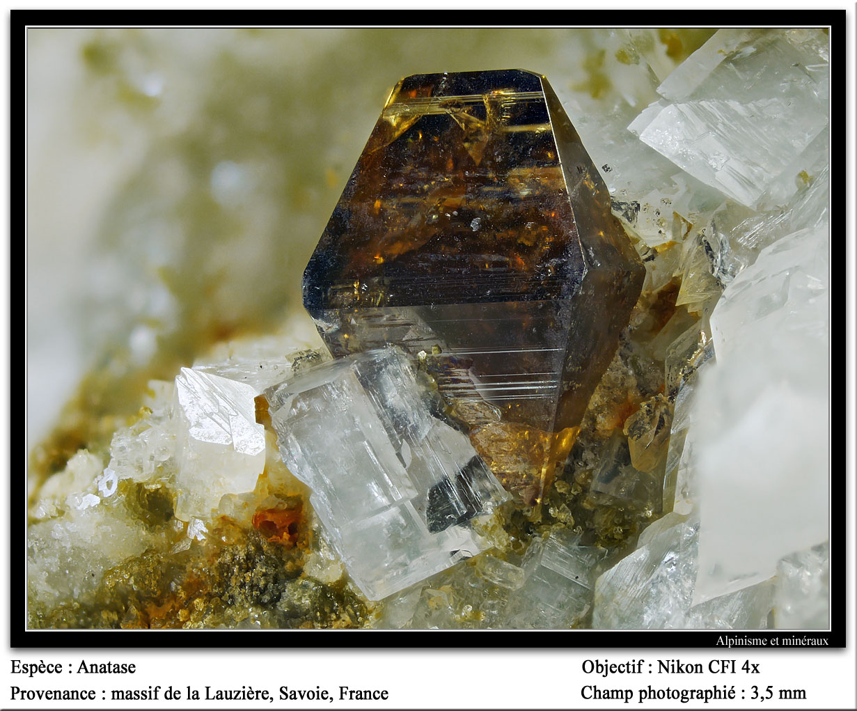 Anatase
fov 3.5 mm
(Autor: ploum)