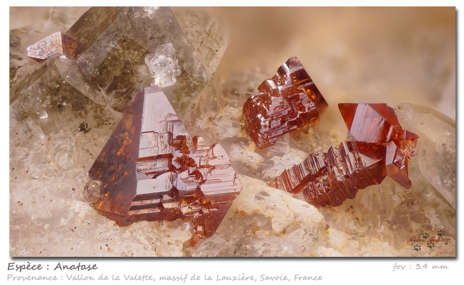 Anatase
fov 3.4 mm
(Autor: ploum)