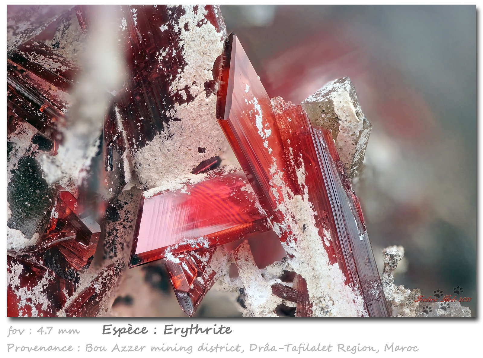 Erythrite
fov 4.7 mm
(Autor: ploum)