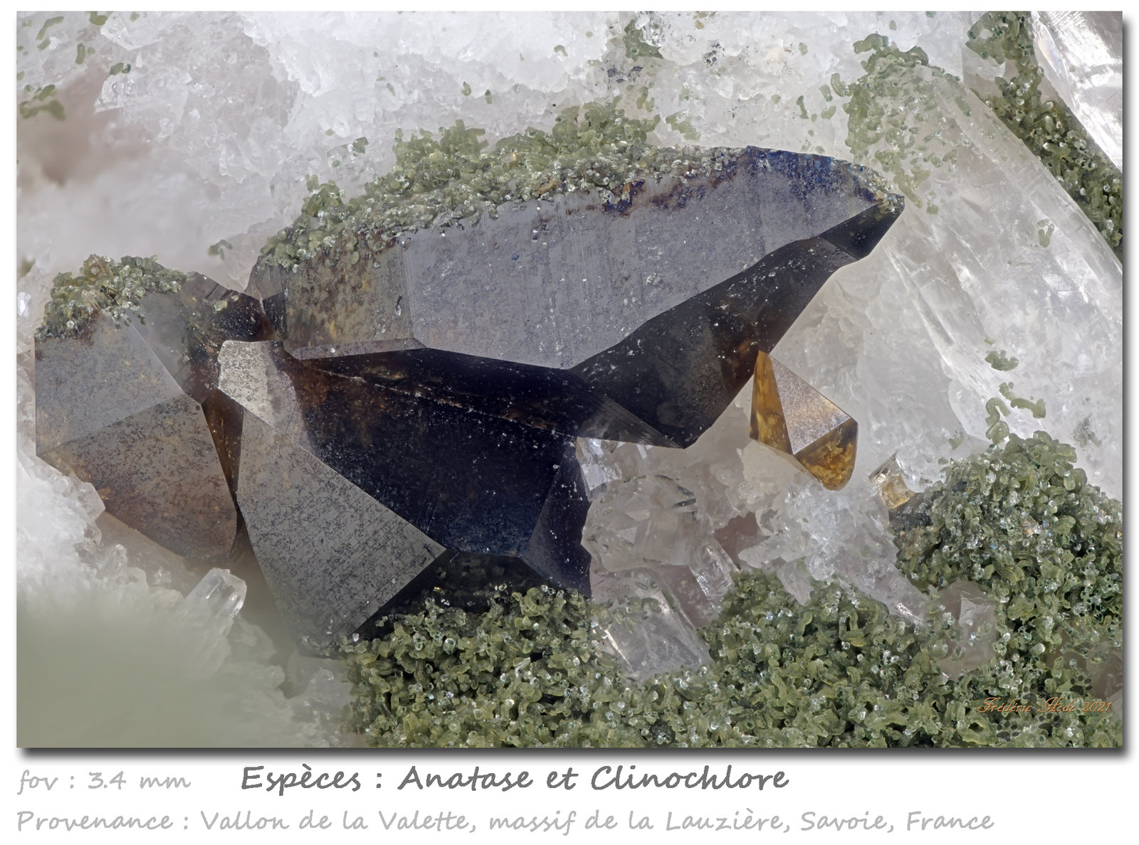 Anatase
fov 3.4 mm
(Autor: ploum)