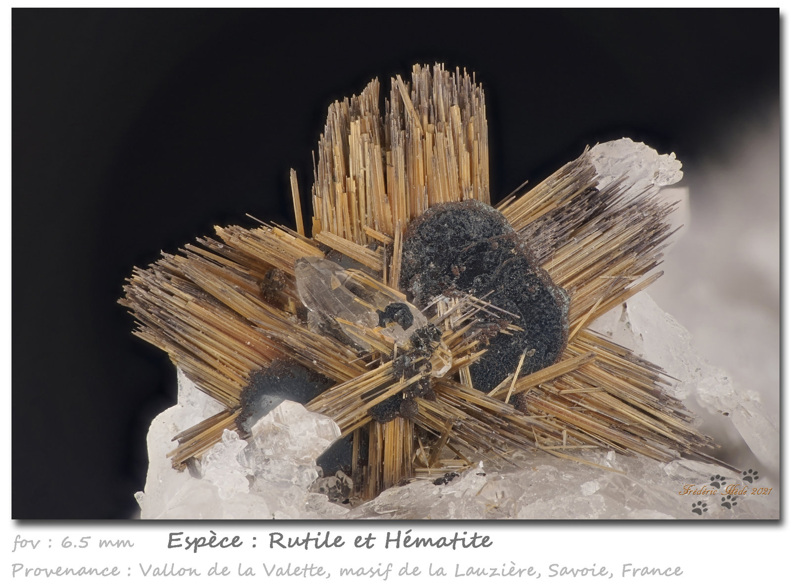 Rutile and Hematite
fov 6.5 mm
(Autor: ploum)
