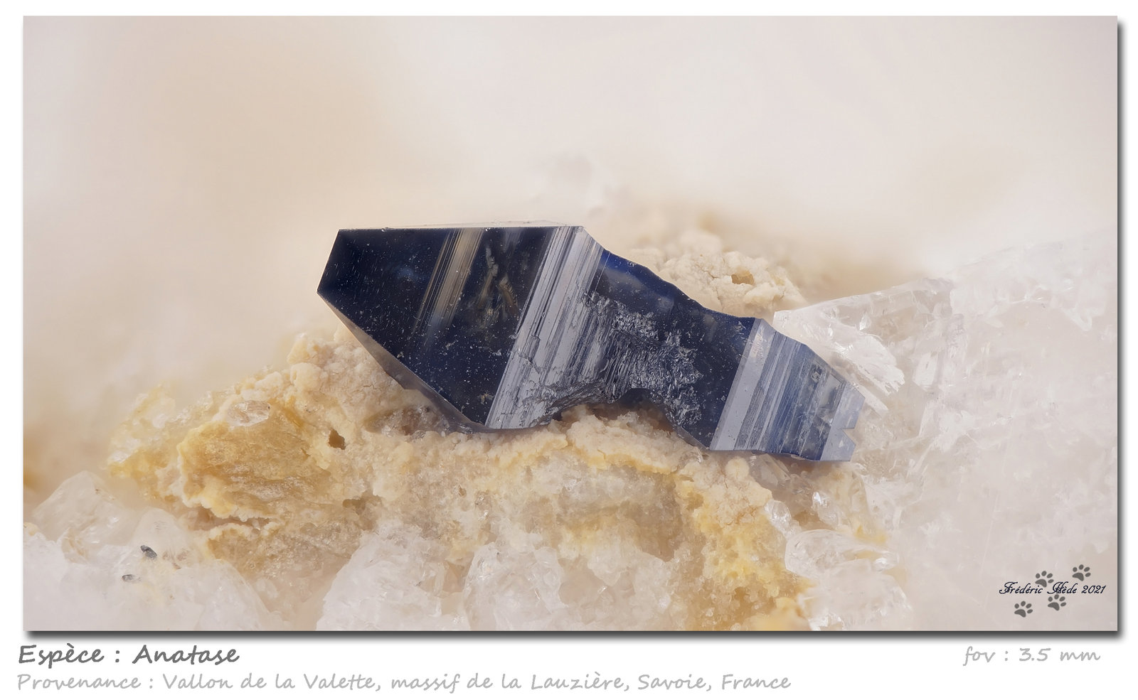 Anatase
fov 3.5 mm
(Autor: ploum)