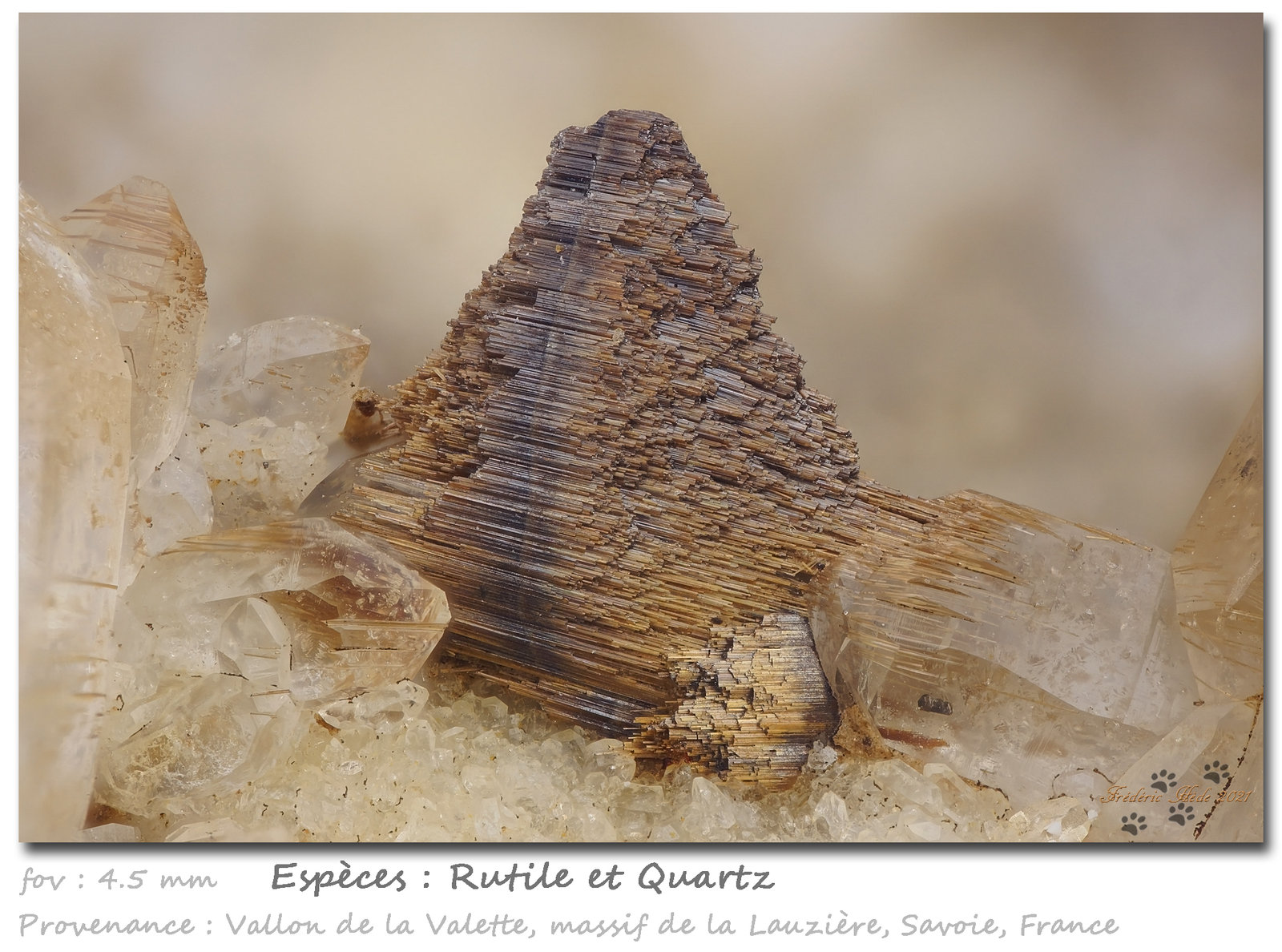 Rutile
fov 4.5 mm
(Autor: ploum)