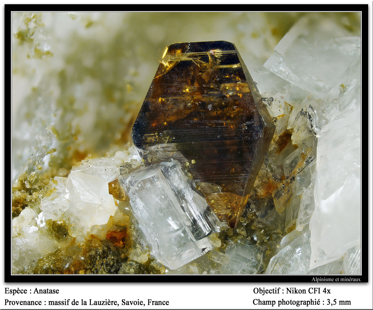 Anatase
fov 3.5 mm
(Autor: ploum)
