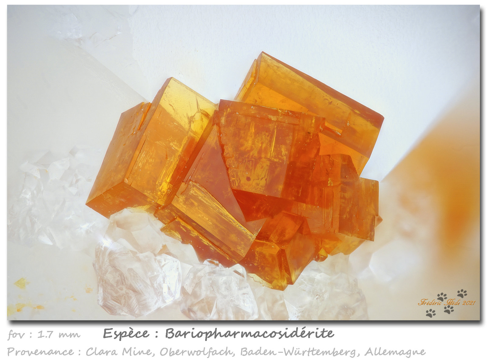 Bariopharmacosiderite
Fov 1.7 mm
(Autor: ploum)