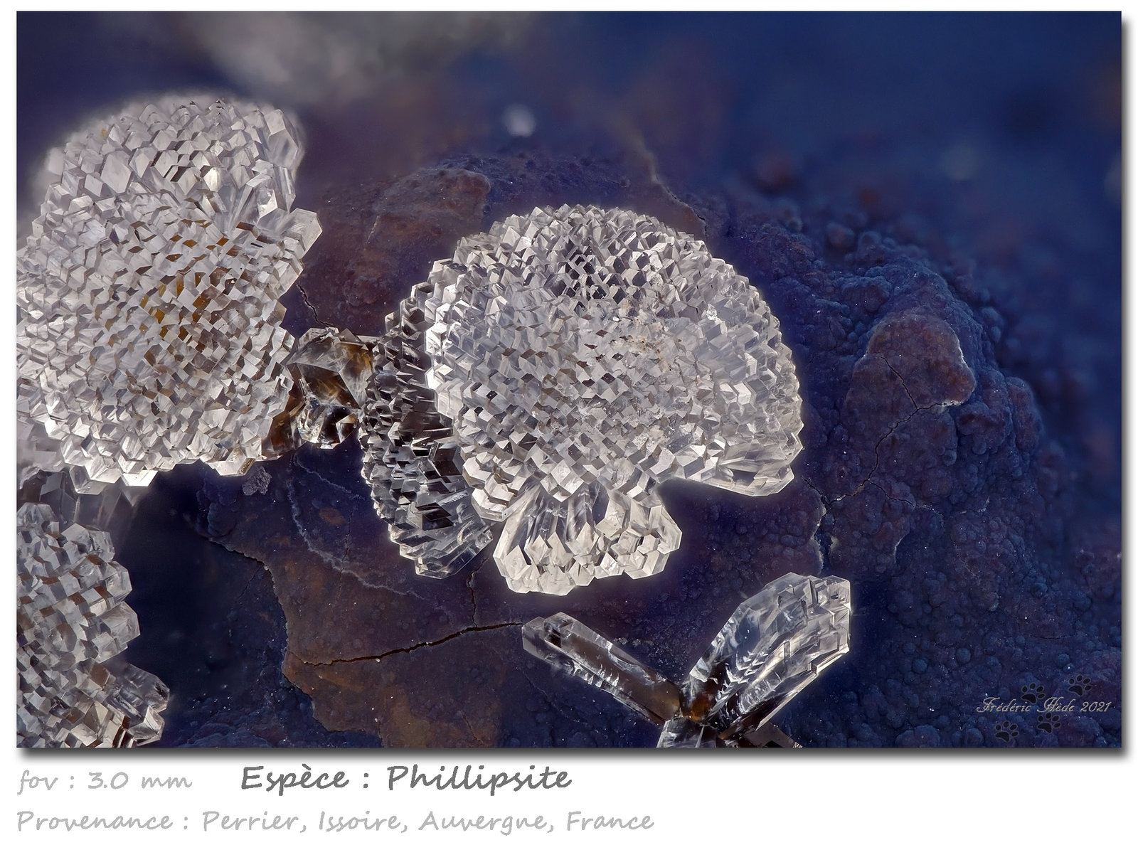 Phillipsite
fov 3.0 mm
(Autor: ploum)