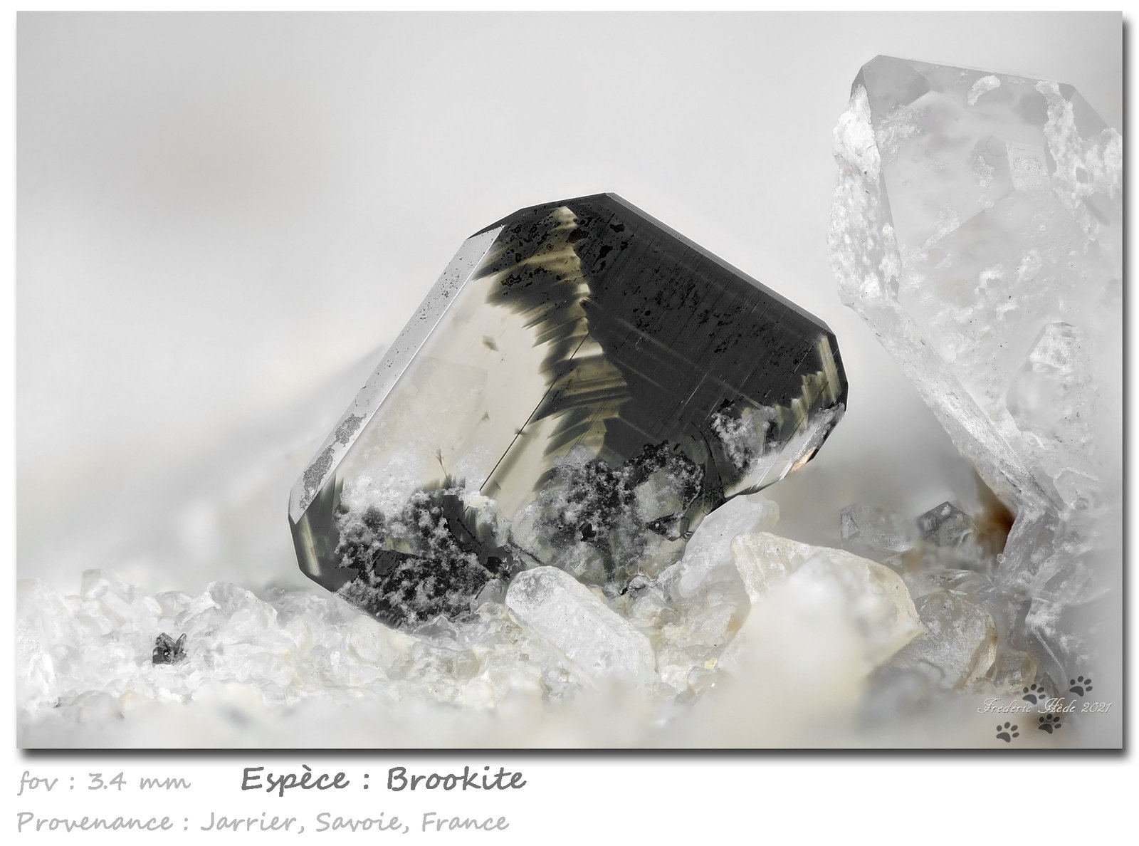 Brookite
fov 3.4 mm
(Autor: ploum)