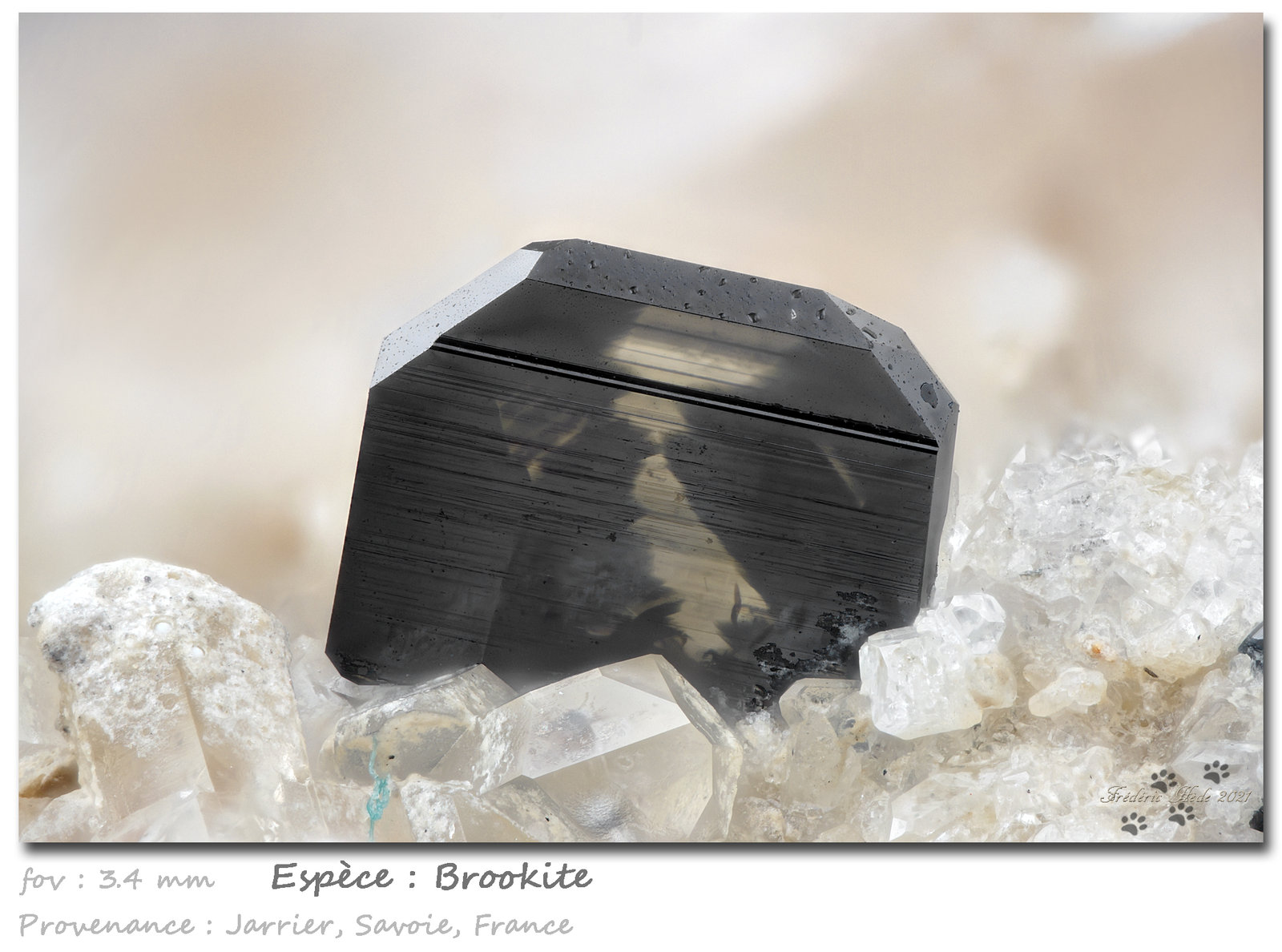 Brookite
fov 3.4 mm
(Autor: ploum)