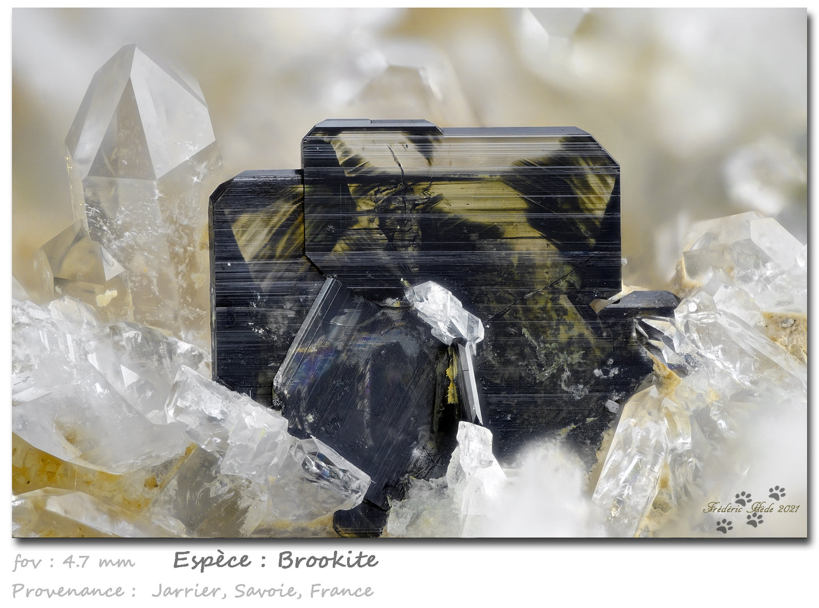 Brookite
fov 4.7 mm
(Autor: ploum)