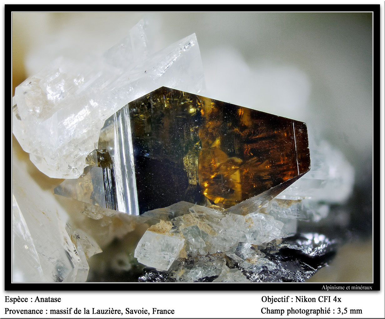 Anatase
fov 3.5 mm
(Autor: ploum)
