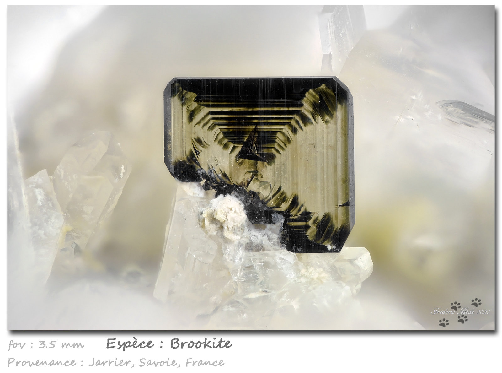 Brookite
fov 3.5 mm
(Autor: ploum)