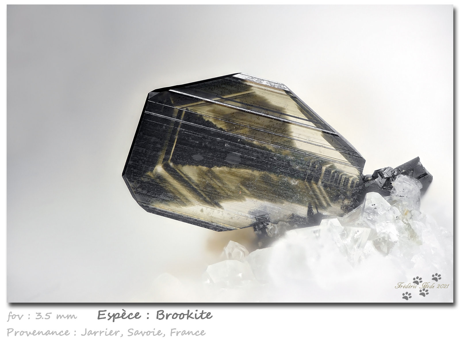 Brookite
fov 3.5 mm
(Autor: ploum)