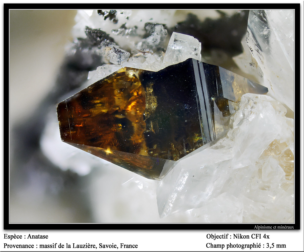 Anatase
fov 3.5 mm
(Autor: ploum)