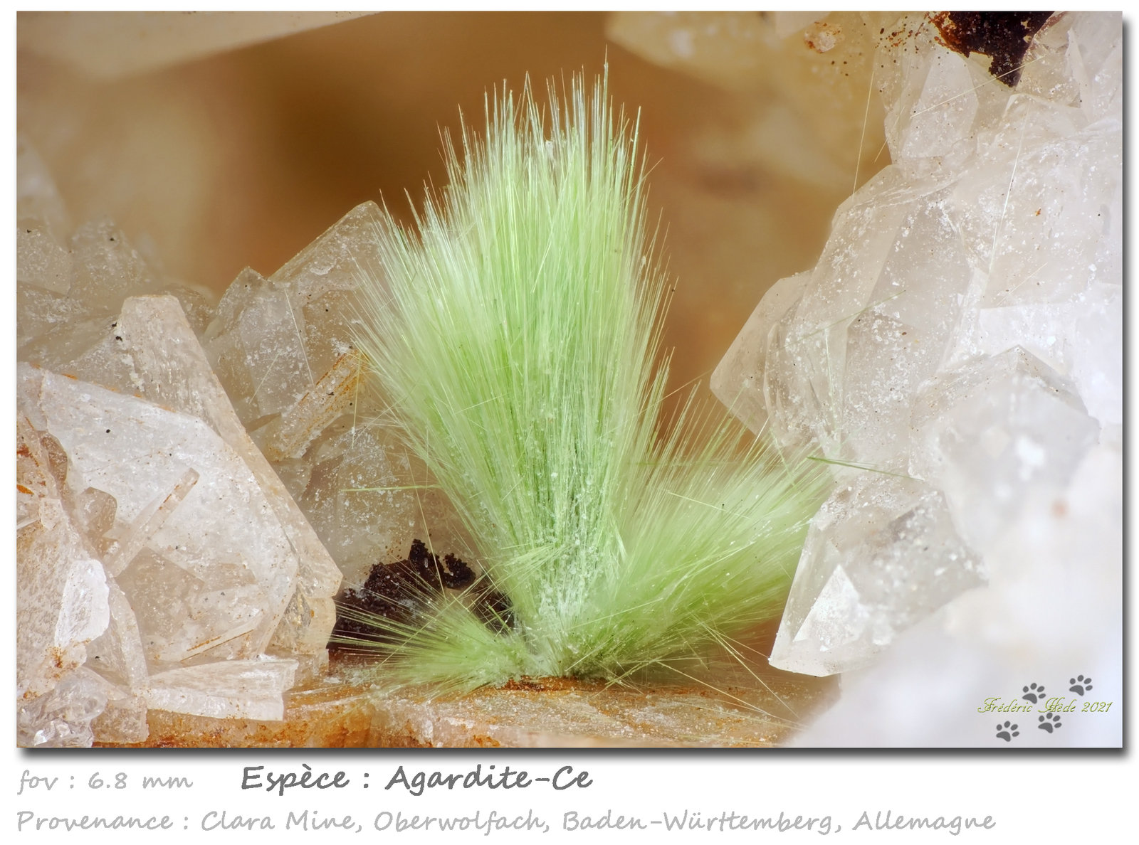 Agardite-Ce
fov 6.8 mm
(Autor: ploum)