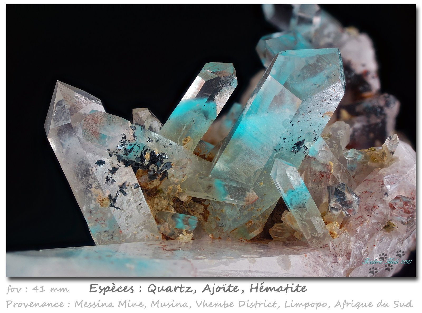 Quartz and Ajoite
fov 41 mm
(Autor: ploum)