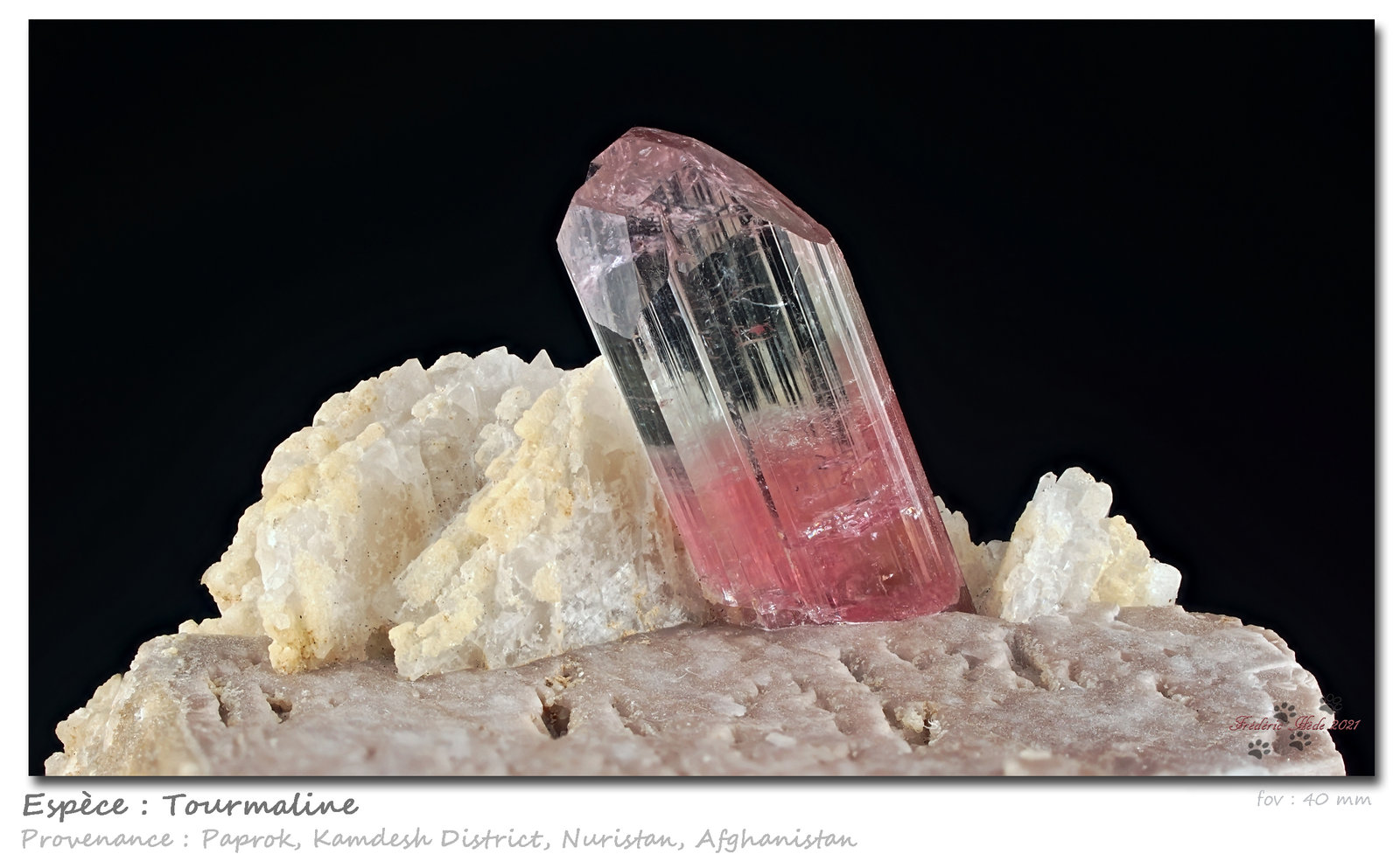 Tourmaline
fov 40 mm
(Autor: ploum)