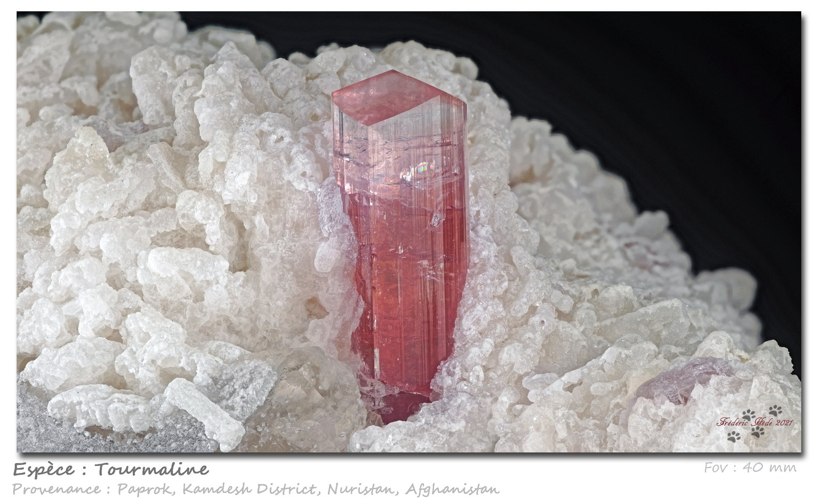 Tourmaline
fov 40 mm
(Autor: ploum)