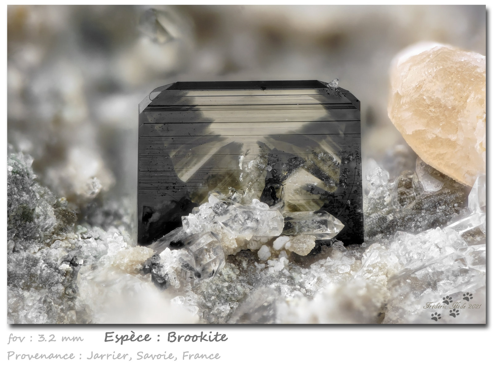 Brookite
fov 3.2 mm
(Autor: ploum)