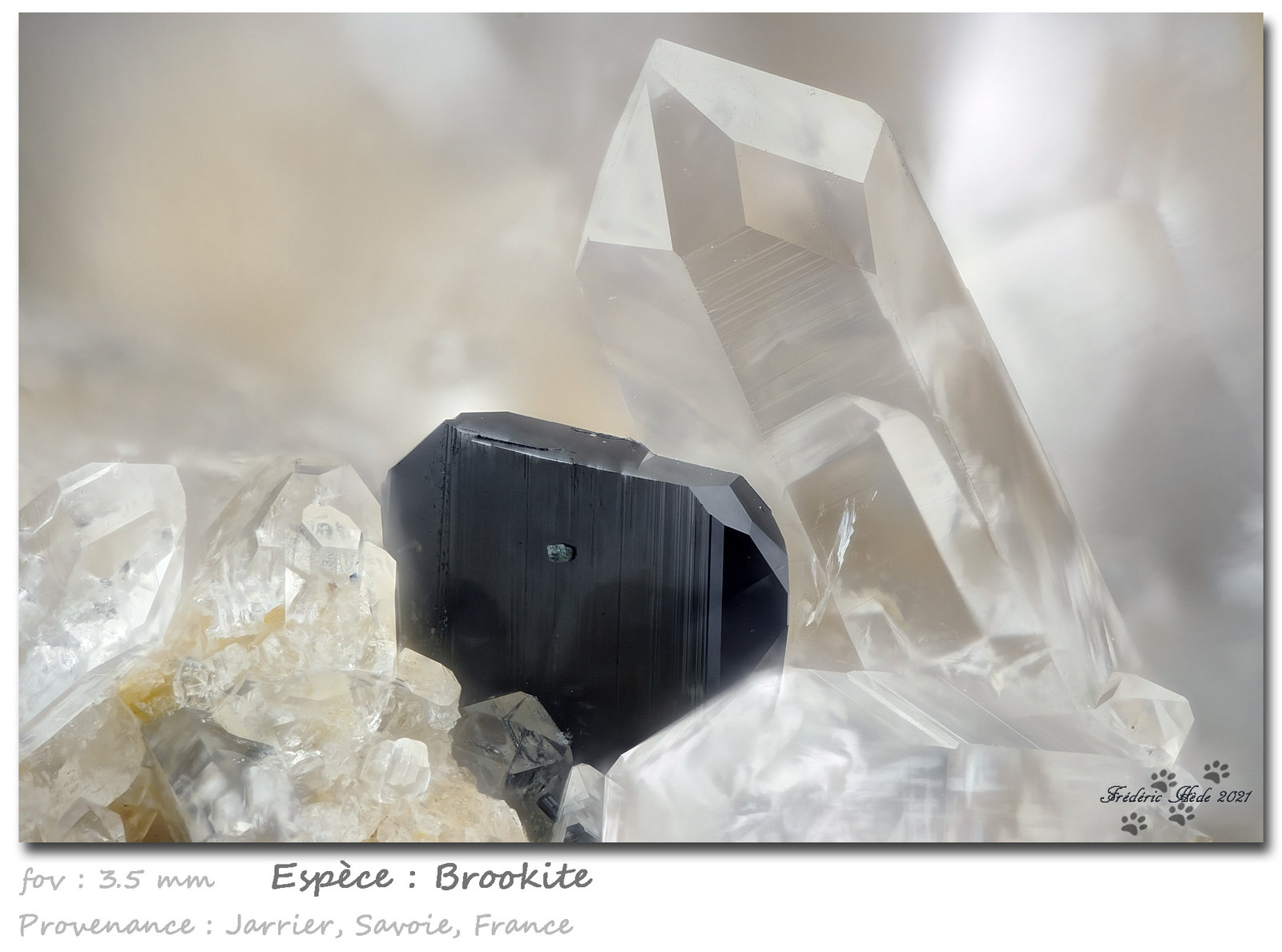 Brookite and Quartz
fov 3.5 mm
(Autor: ploum)