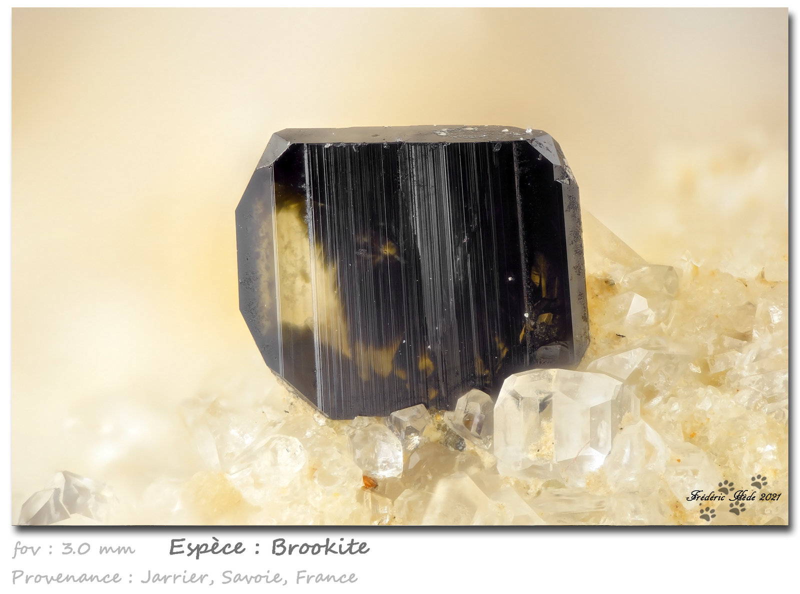 Brookite
fov 3.0 mm
(Autor: ploum)