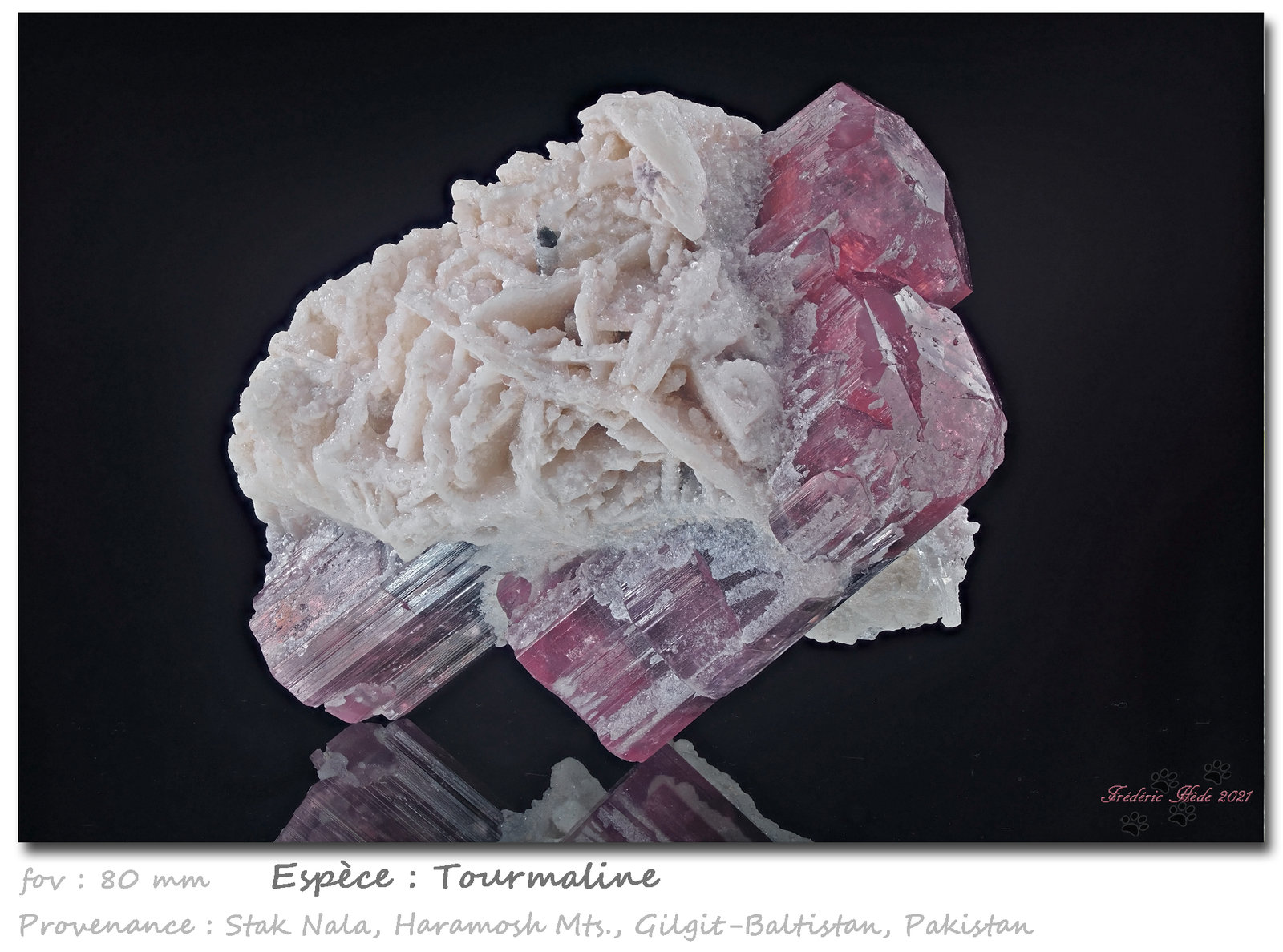 Tourmaline
fov 80 mm
(Autor: ploum)