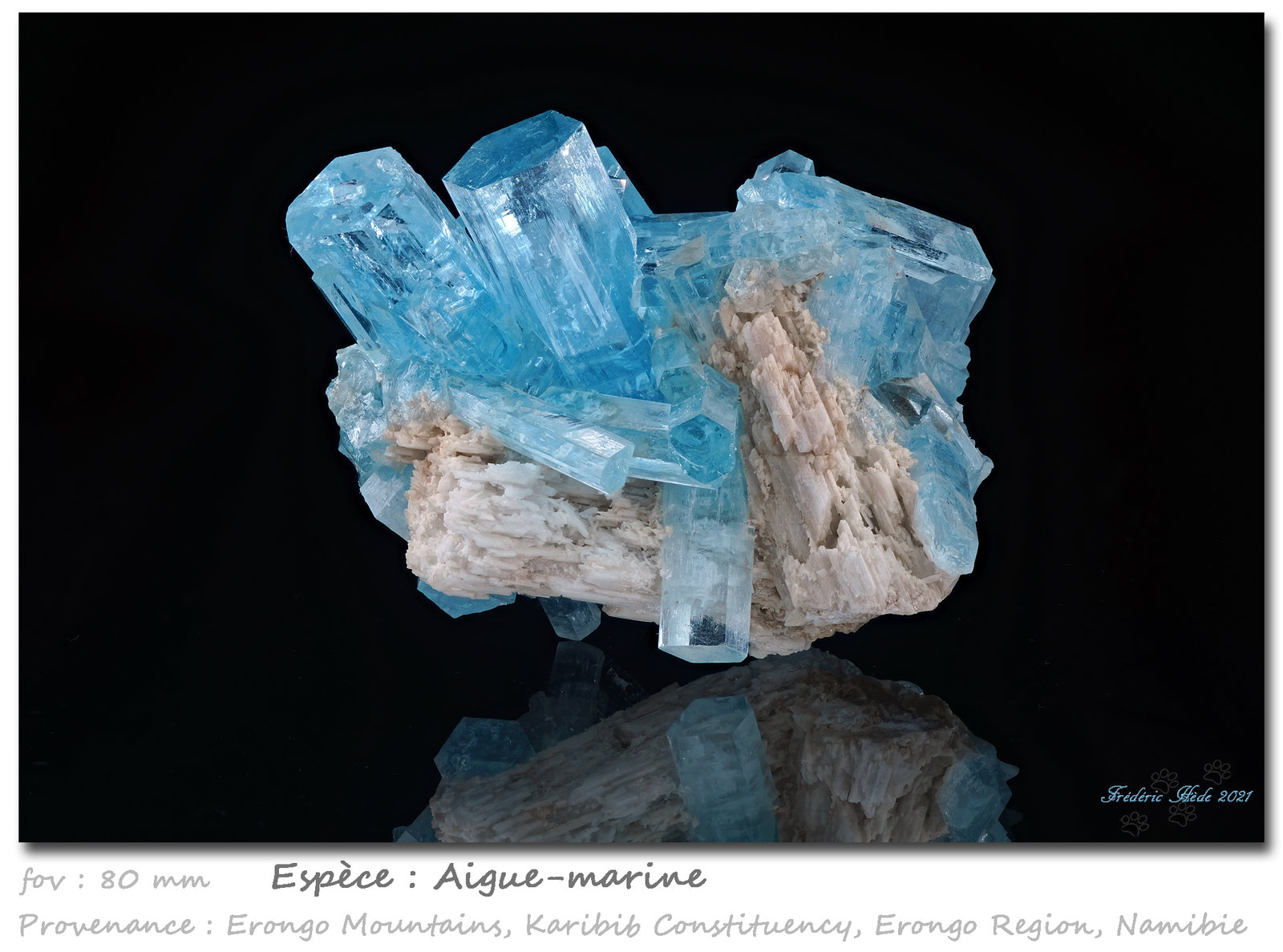 Aquamarine
fov 80 mm
(Autor: ploum)