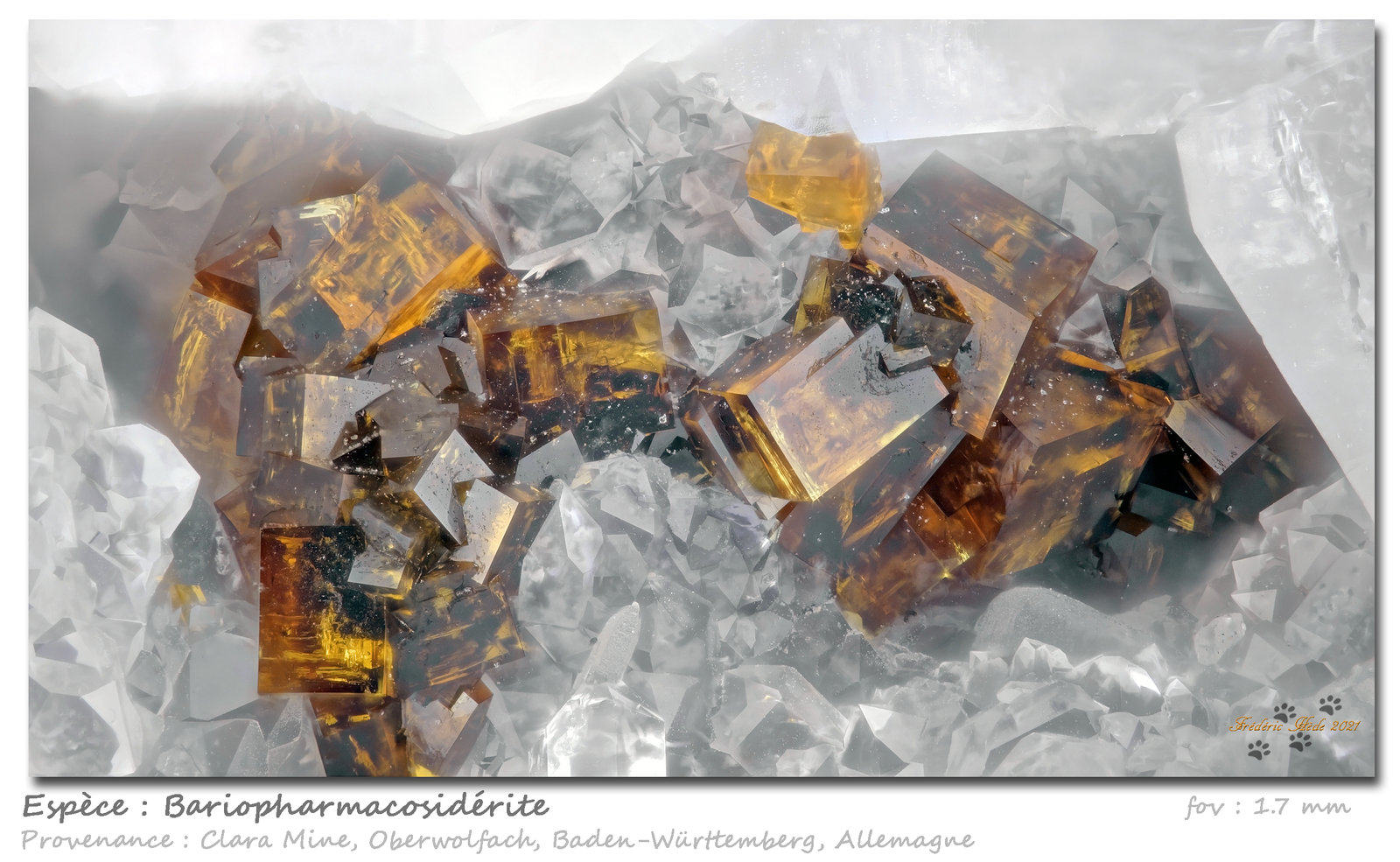 Bariopharmacosiderite
fov 1.7 mm
(Autor: ploum)