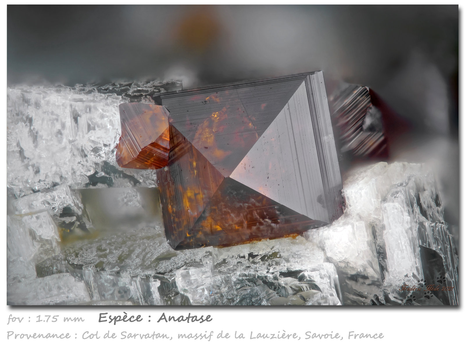 Anatase
fov 1.75 mm
(Autor: ploum)