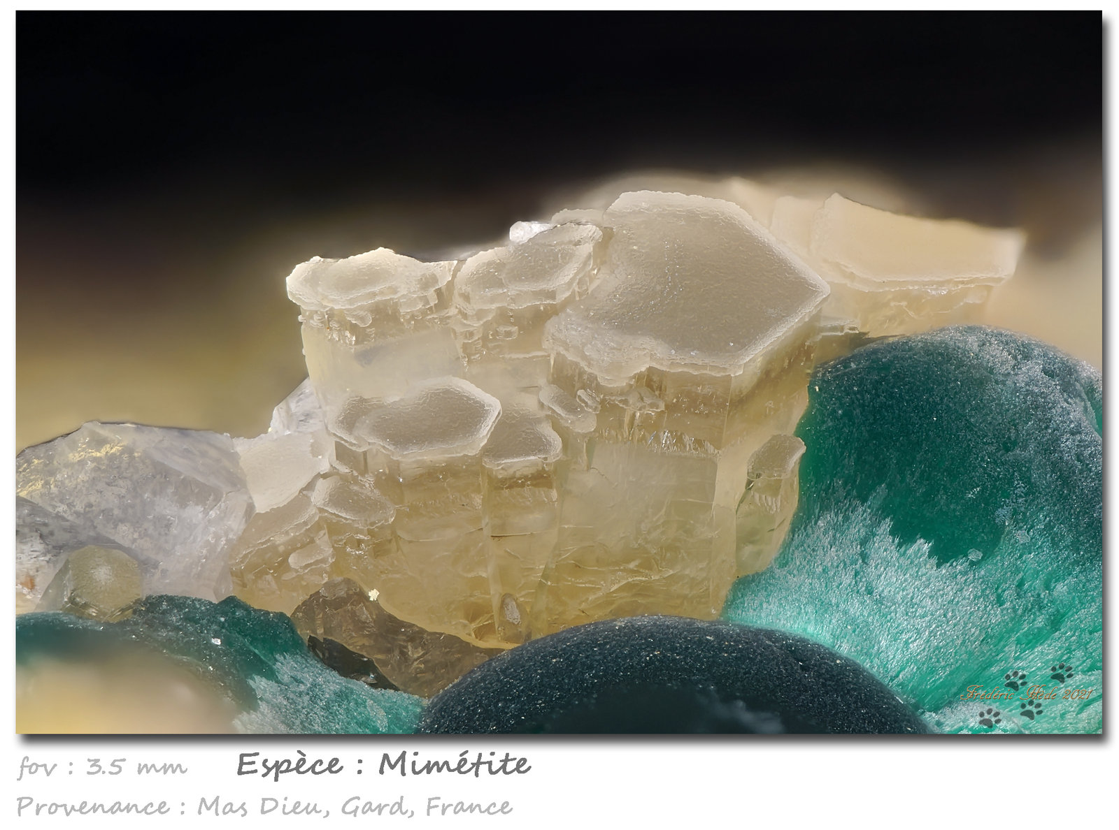 Mimetite and Malachite
fov 3.5 mm
(Autor: ploum)