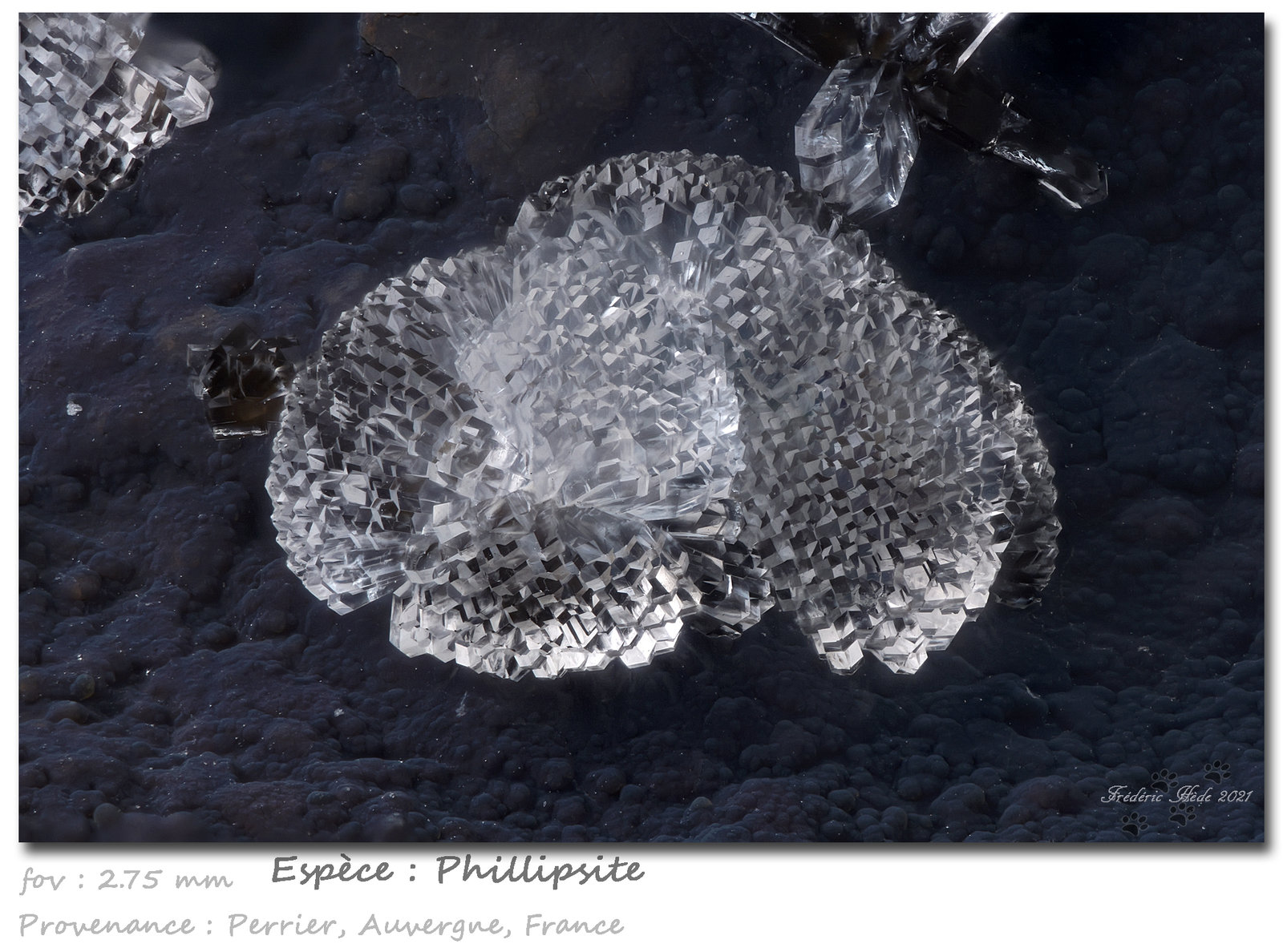 Phillipsite
fov 2.75 mm
(Autor: ploum)
