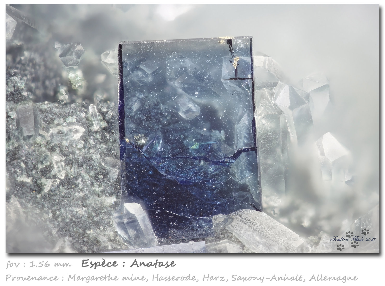 Anatase and Quartz
fov 1.56 mm
(Autor: ploum)