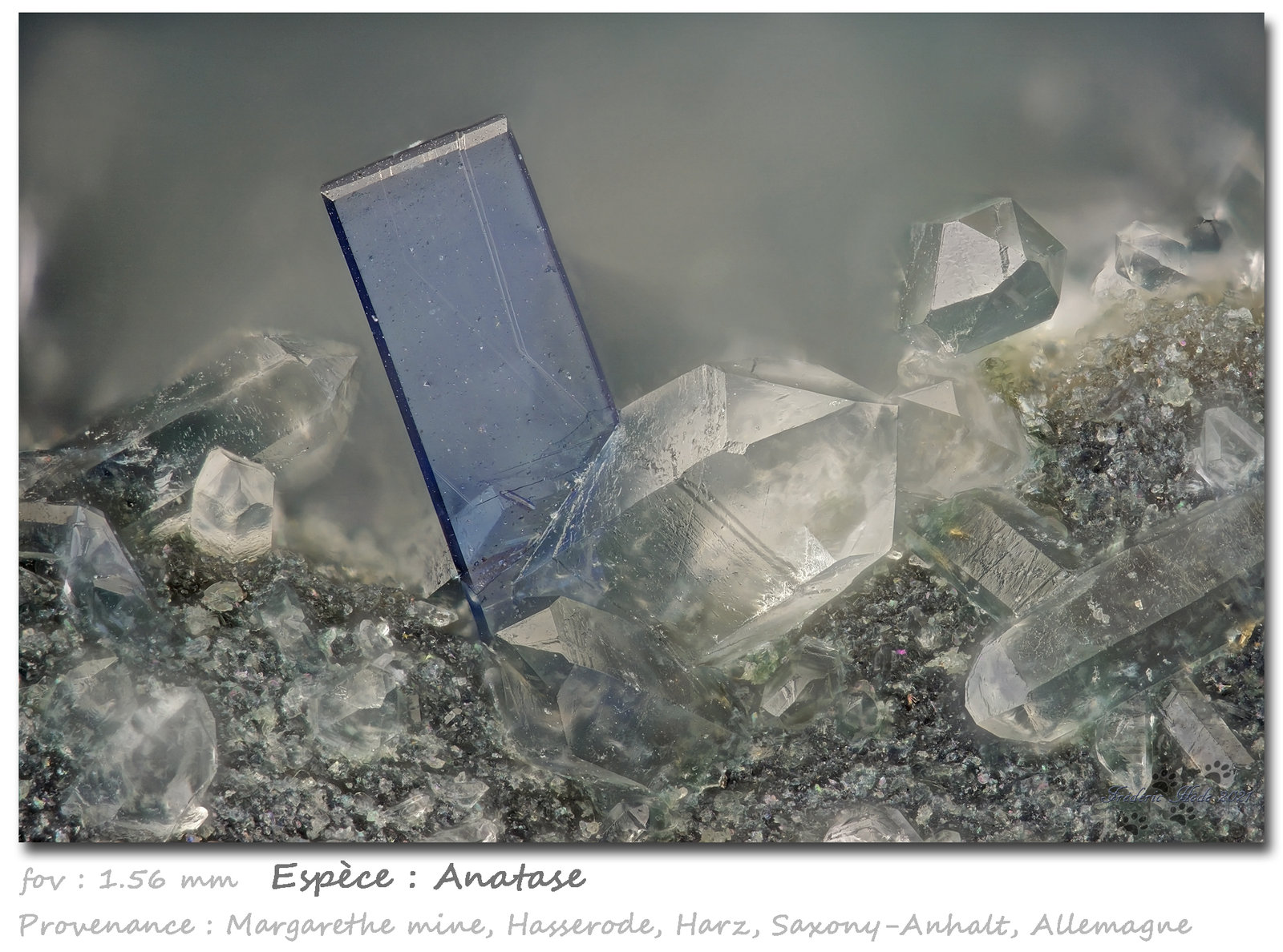 Anatase on Quartz
fov 1.56 mm
(Autor: ploum)